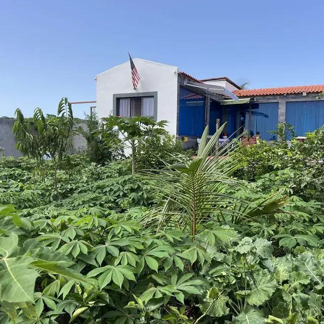 Fachada da casa rodeada por jardim tropical exuberante